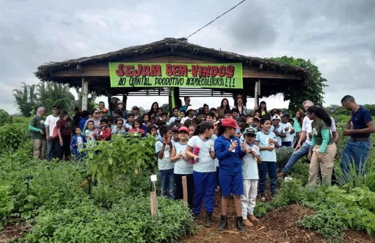 Projeto diverte e ensina alunos da Escola Classe Córrego do Meio sobre preservação ambiental