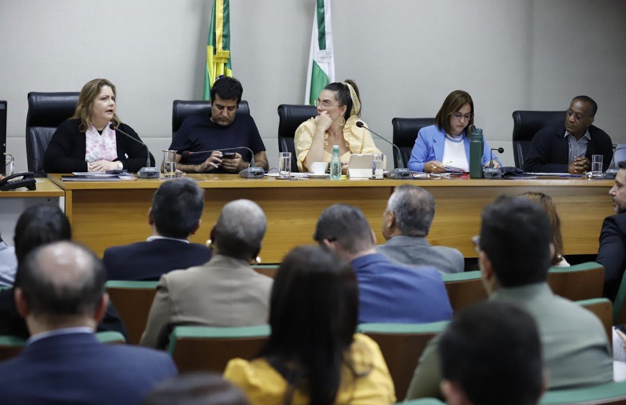 SES-DF apresenta segundo relatório de atividades quadrimestrais de 2024 na Câmara Legislativa