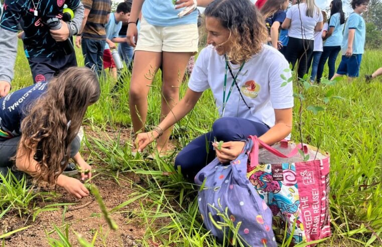 Unidade de conservação recebe bombas de sementes em iniciativa de reflorestamento