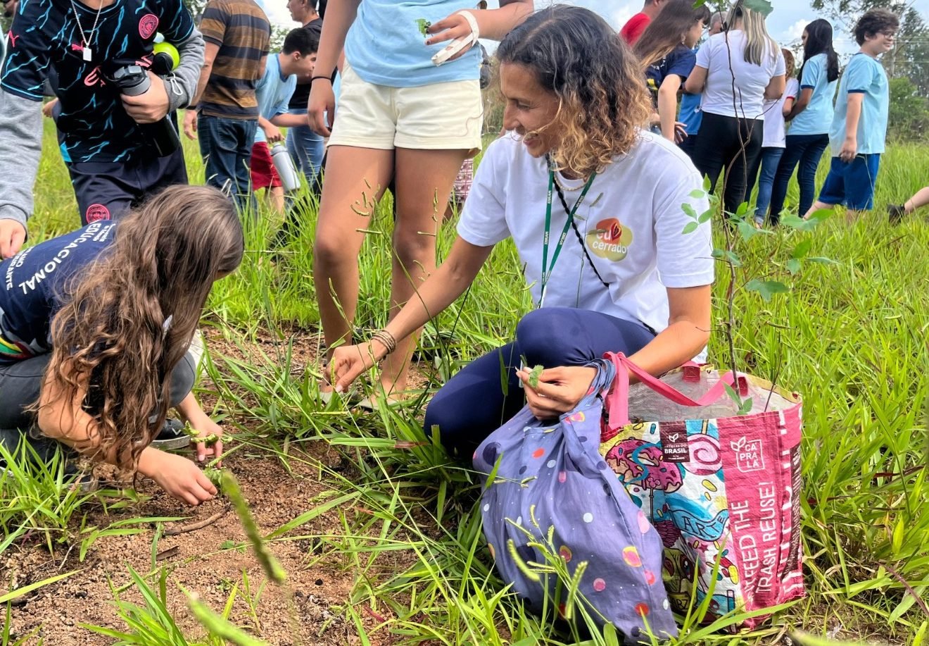 Unidade de conservação recebe bombas de sementes em iniciativa de reflorestamento Unidade de conservação recebe bombas de sementes em iniciativa de reflorestamento