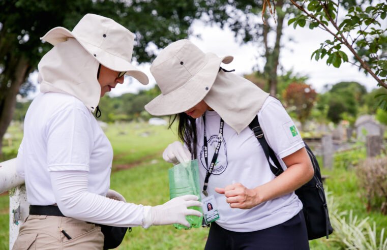 Ação de combate à dengue é realizada no cemitério Campo da Esperança