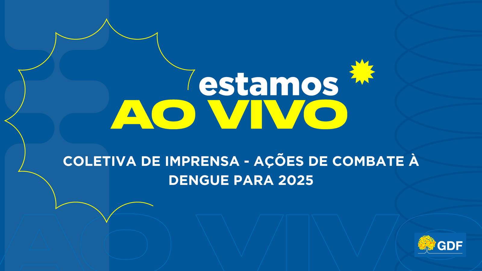 Acompanhe entrevista coletiva sobre ações de combate à dengue em 2025