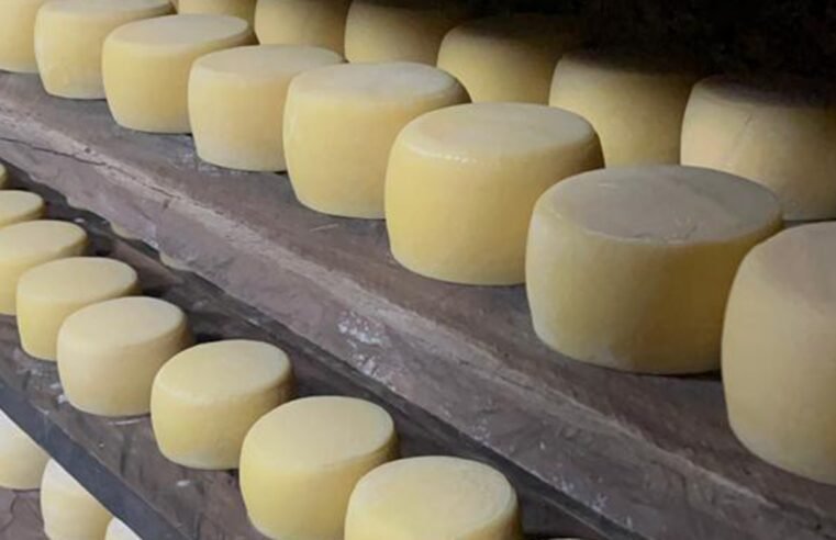 Comissão definirá ações de fomento à produção de queijo no Distrito Federal