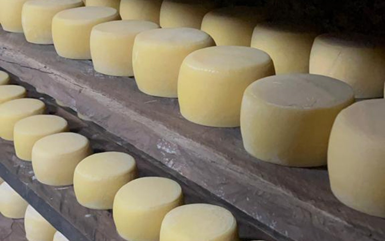 Comissão definirá ações de fomento à produção de queijo no Distrito Federal Comissão definirá ações de fomento à produção de queijo no Distrito Federal
