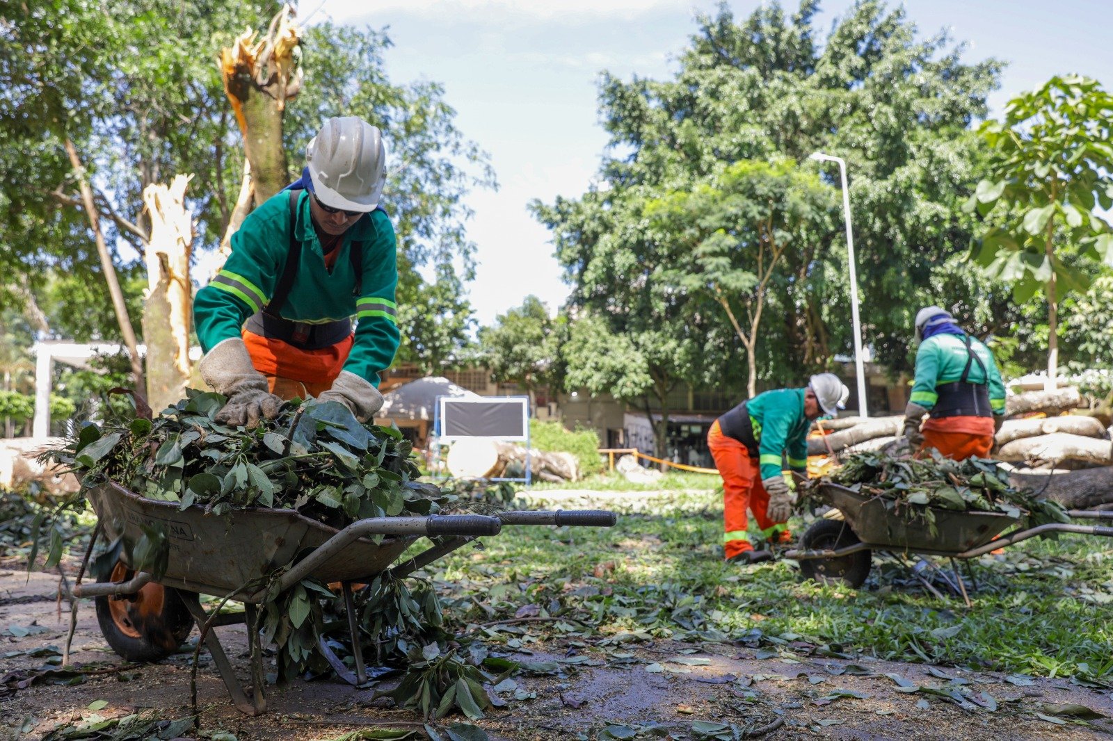 Equipes do GDF fazem ações emergenciais de cortes e podas de árvores após fortes chuvas