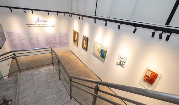 Exposição Ânima homenageia Maria da Penha no MPDFT
