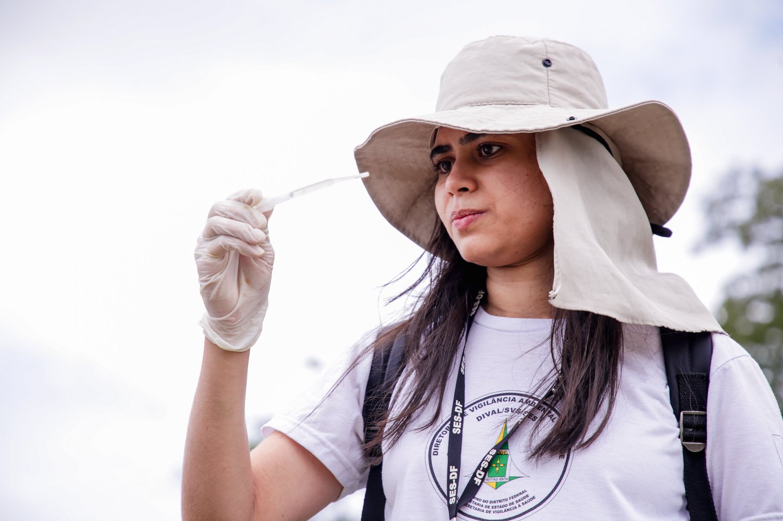 Incidência da dengue é considerada baixa em 33 regiões administrativas do DF