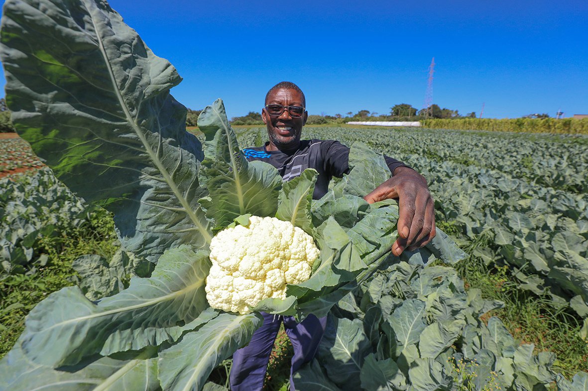 Investimento de R$ 44 milhões em programas de aquisição de alimentos fortalece agricultura familiar e segurança alimentar