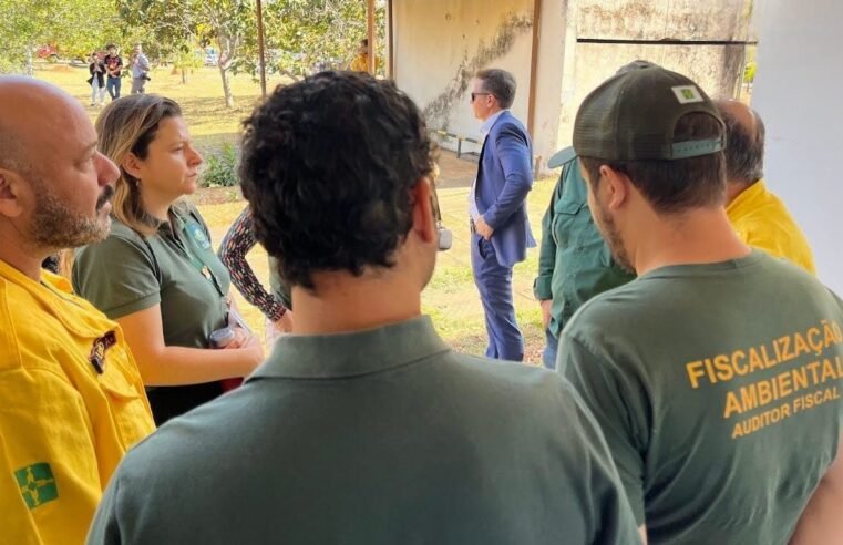 Manual de fiscalização agiliza julgamentos de infrações ambientais