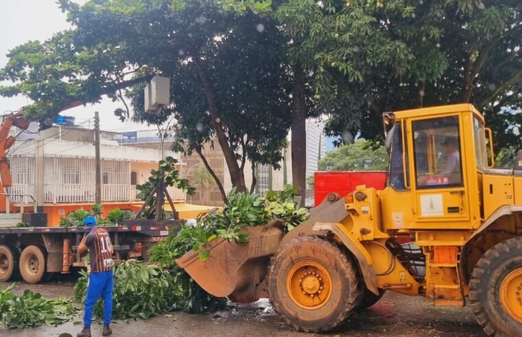 Mutirão retira lixo e entulho de áreas públicas para evitar alagamentos no Plano Piloto