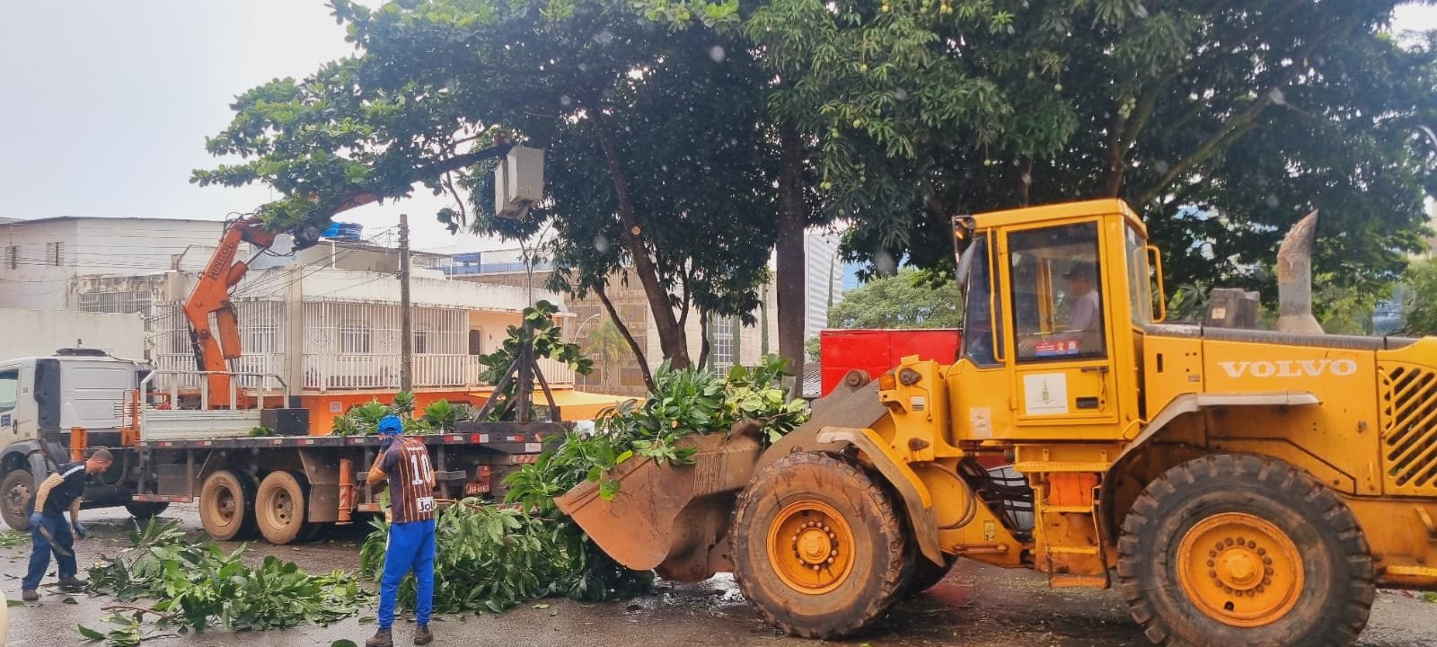 Mutirão retira lixo e entulho de áreas públicas para evitar alagamentos no Plano Piloto Mutirão retira lixo e entulho de áreas públicas para evitar alagamentos no Plano Piloto