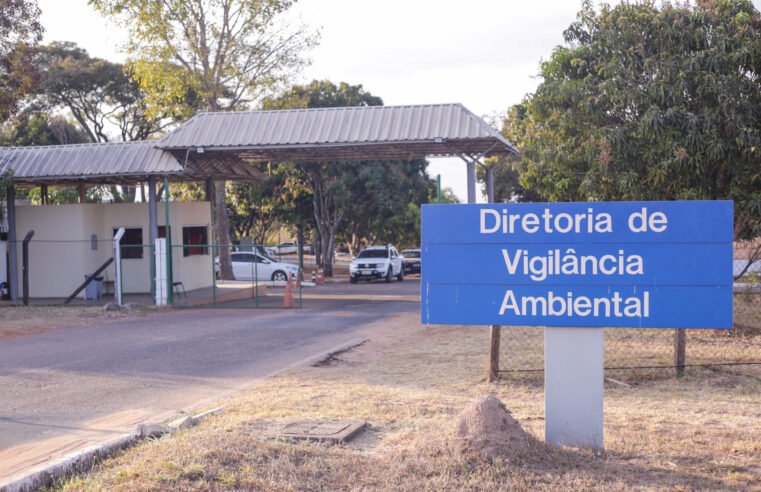 No DF, Zoonoses é referência para receber animais com doenças transmissíveis aos humanos