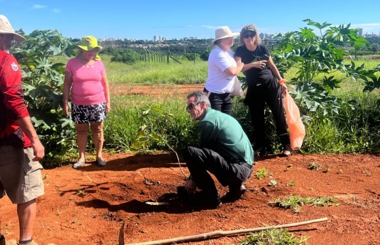 Parque Ecológico do Riacho Fundo recebe primeiro plantio do ano