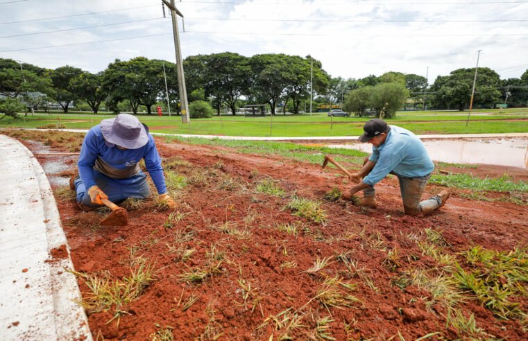 Plantio de grama no Parque Internacional da Paz marca início do paisagismo do Drenar DF