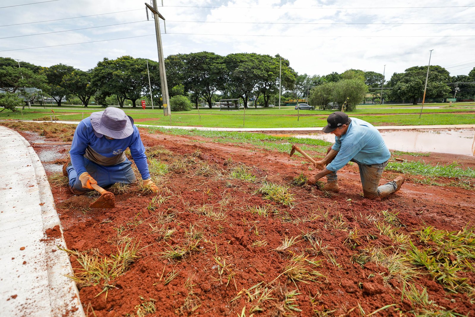 Plantio de grama no Parque Internacional da Paz marca início do paisagismo do Drenar DF Plantio de grama no Parque Internacional da Paz marca início do paisagismo do Drenar DF