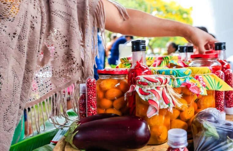 Produtoras e artesãs rurais realizam feira no Anexo do Palácio do Buriti