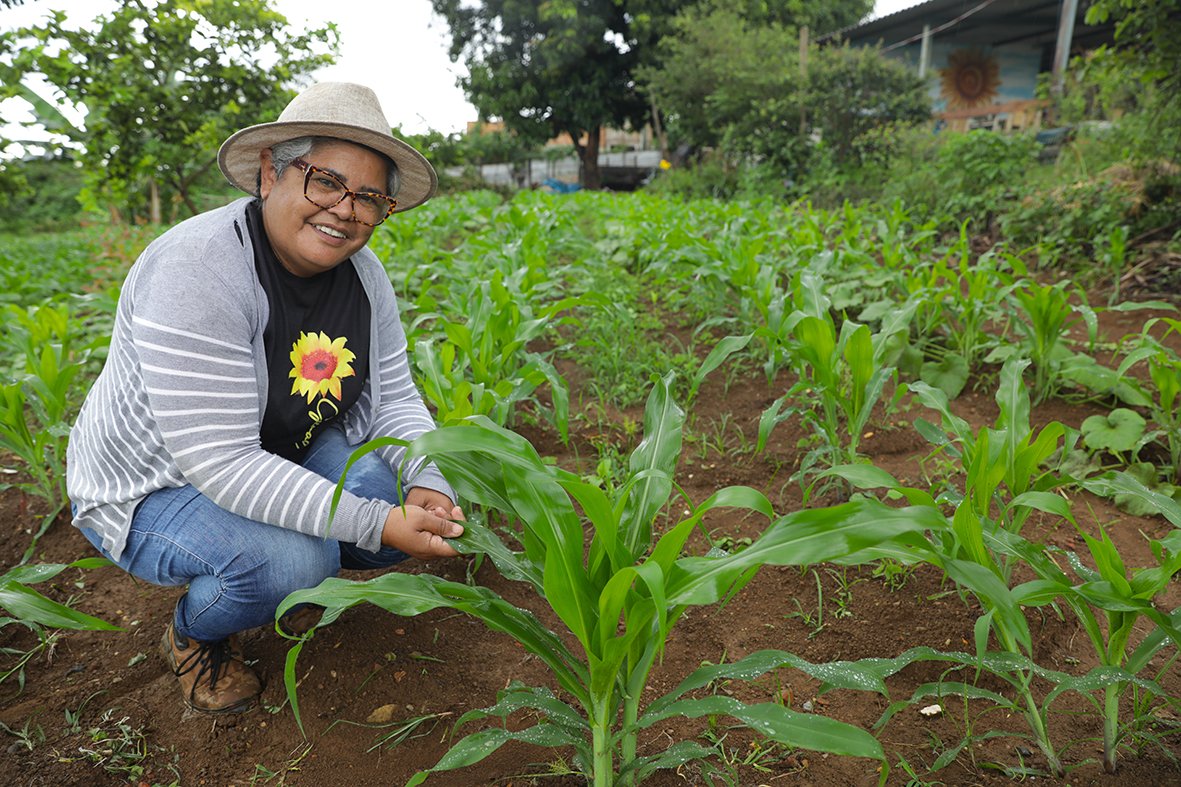 Programa de agricultura urbana estimula produção de baixo custo e contribui com segurança alimentar do DF