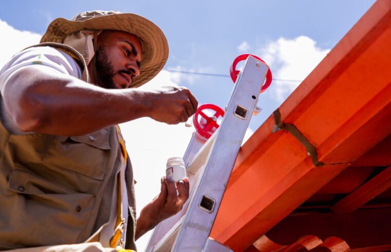 Sobradinho recebe ação de combate à dengue