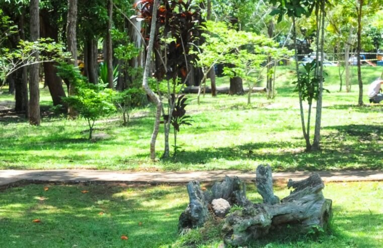 Unidades de conservação ambiental são objeto de pesquisa da UnB