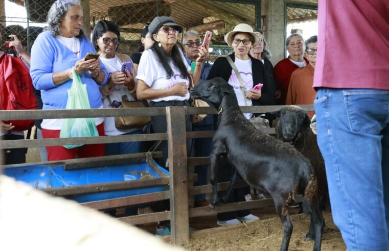 Agricultoras do DF aprendem novas tecnologias em visita à Fazenda Água Limpa