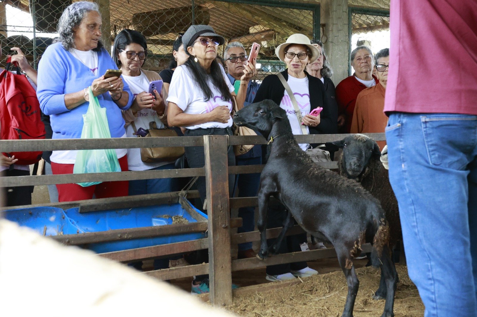 Agricultoras do DF aprendem novas tecnologias em visita à Fazenda Água Limpa Agricultoras do DF aprendem novas tecnologias em visita à Fazenda Água Limpa
