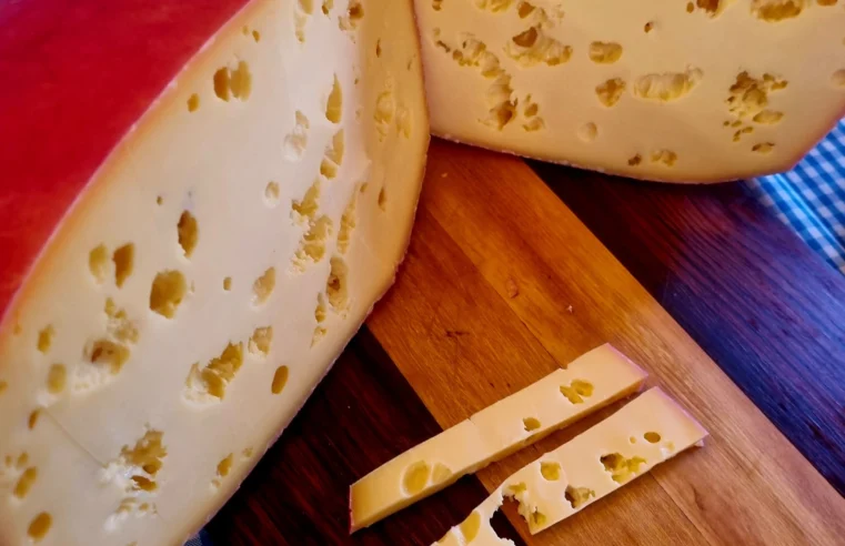 Comissão para fomentar mercado do queijo no DF discute soluções para ajudar produtores