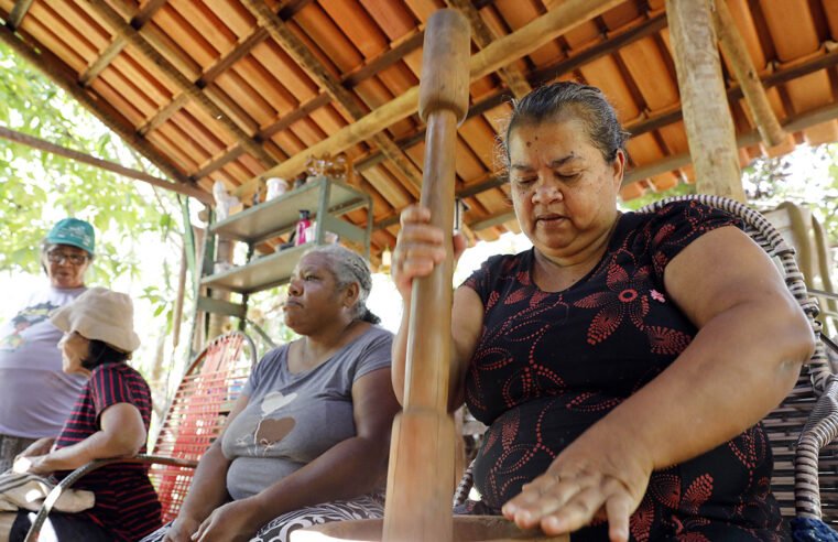 Cor natural: Artesãs da zona rural de Planaltina aprendem tingimento com plantas