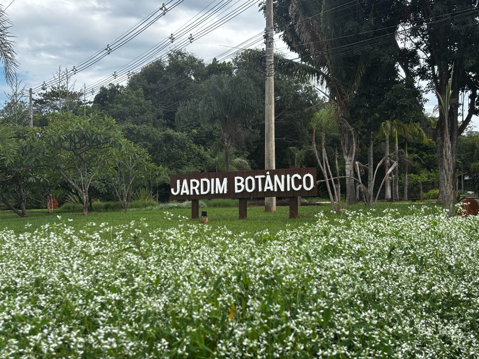 Jardim Botânico celebra 40 anos com entrada gratuita durante todo o mês de março Jardim Botânico celebra 40 anos com entrada gratuita durante todo o mês de março