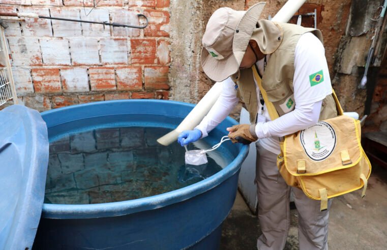 Nomeação de agentes, mutirões de limpeza e tecnologia fortalecem ações contra a dengue no DF