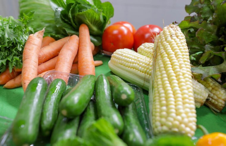 Produtores rurais vão representar DF em feira internacional do setor de frutas e hortaliças
