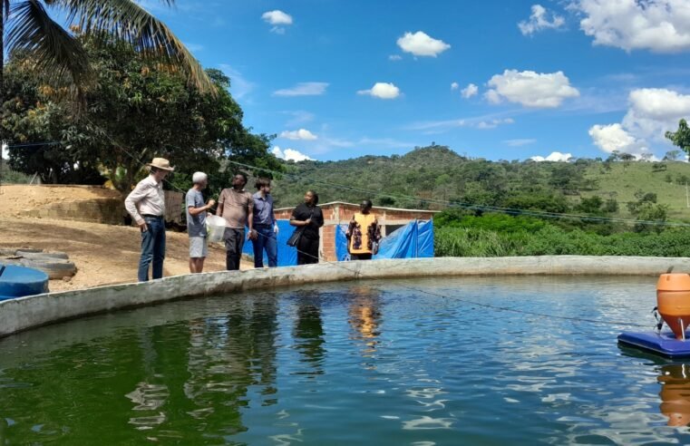 Representantes do Malawi conhecem propriedade-modelo em produção de pescado no DF