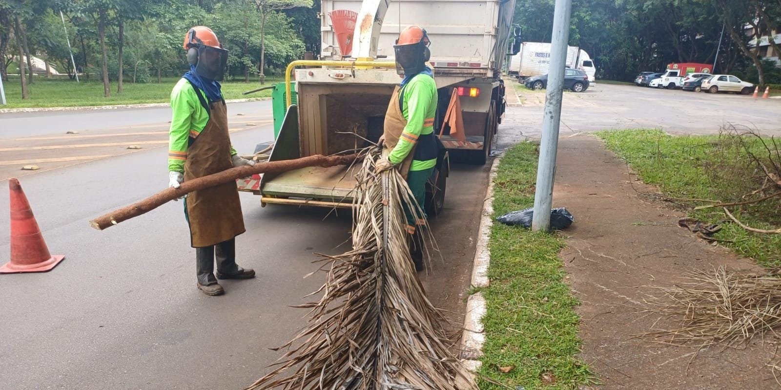 Resíduos vegetais viram composto para produção de mudas e manutenção de áreas verdes