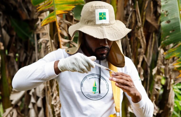 Saúde moderniza ferramenta que identifica focos e planeja ações contra a dengue