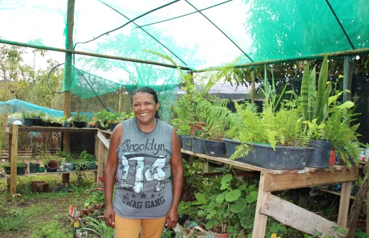 Com assistência técnica, produtora rural transforma paixão por plantas em fonte de renda