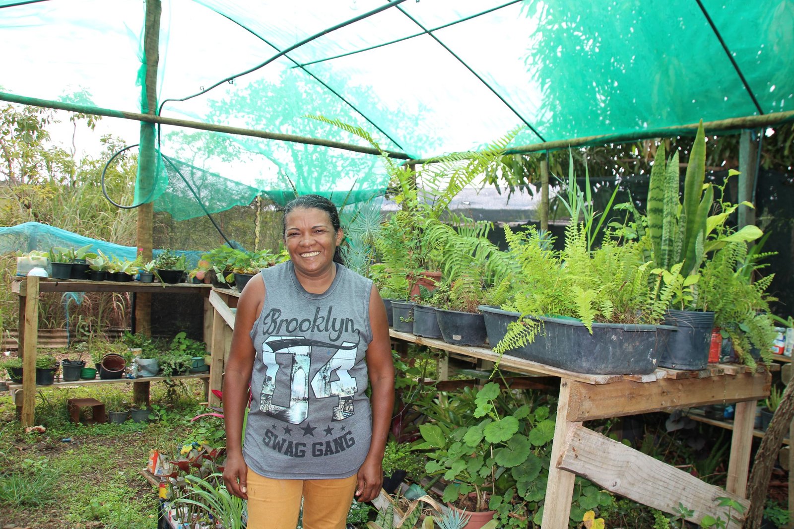 Com assistência técnica, produtora rural transforma paixão por plantas em fonte de renda Com assistência técnica, produtora rural transforma paixão por plantas em fonte de renda
