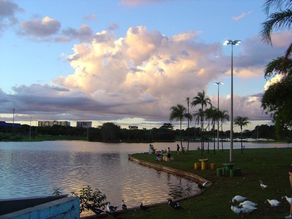 Lago do Parque da Cidade passará por operação de limpeza na segunda-feira (31) Lago do Parque da Cidade passará por operação de limpeza na segunda-feira (31)