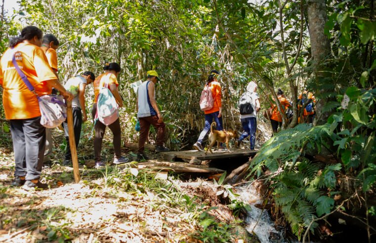 Natureza como terapia: Cerrado auxilia na recuperação emocional