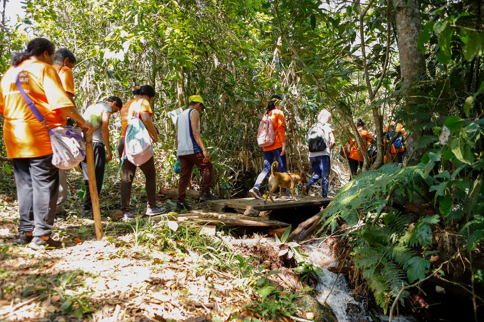Natureza como terapia: Cerrado auxilia na recuperação emocional Natureza como terapia: Cerrado auxilia na recuperação emocional