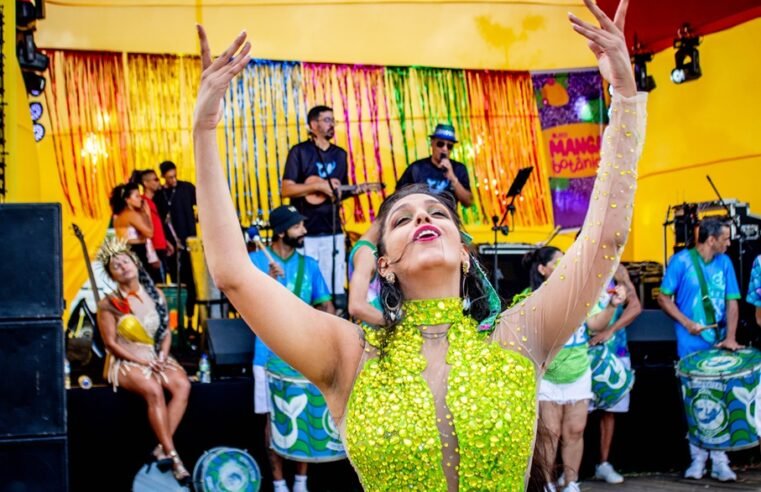 Programação pós-Carnaval do DF tem bloquinhos de diferentes estilos