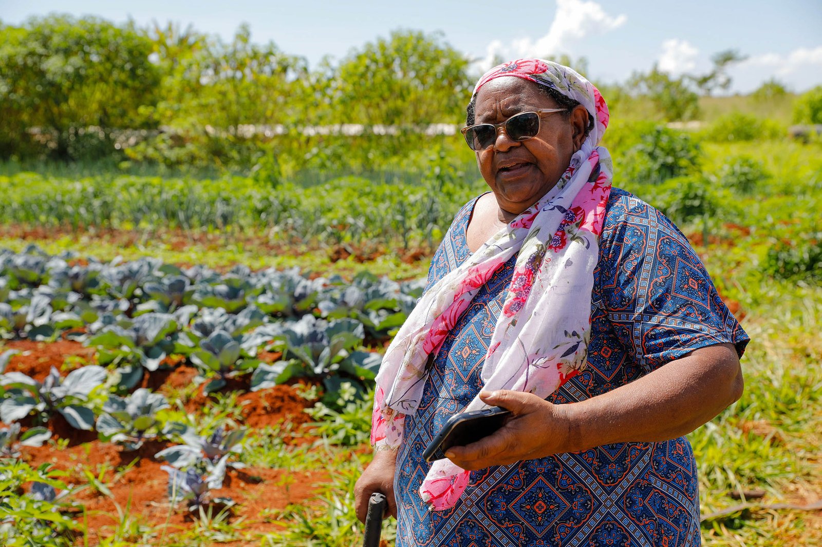 Protagonismo feminino no campo: 9,4 mil mulheres cultivam alimentos e fortalecem a agricultura familiar no DF Protagonismo feminino no campo: 9,4 mil mulheres cultivam alimentos e fortalecem a agricultura familiar no DF