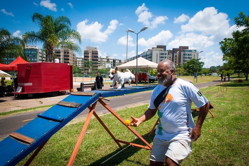 Samambaia recebe Dog Show com espetáculo de cães adestrados