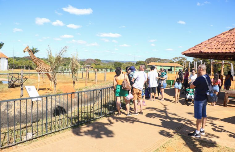 Vai de Graça: Confira linhas que atendem Jardim Botânico e Zoológico aos domingos