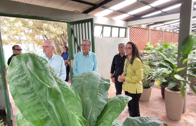 Viveiro do GDF recebe visita técnica de representantes do Judiciário