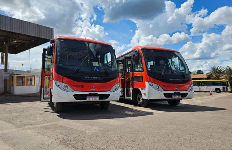 Zebrinha chega ao Park Way com três linhas circulares