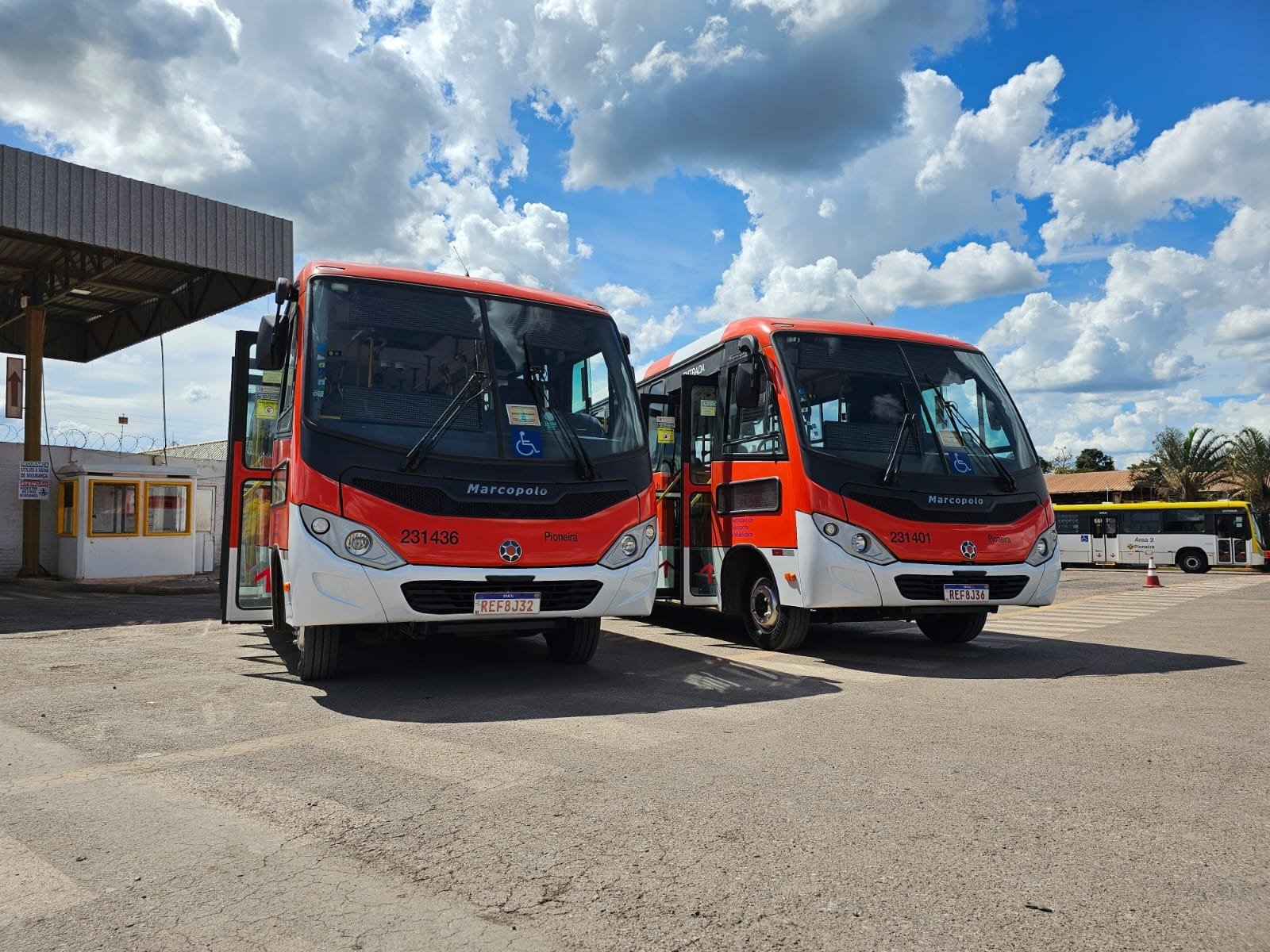 Zebrinha chega ao Park Way com três linhas circulares Zebrinha chega ao Park Way com três linhas circulares