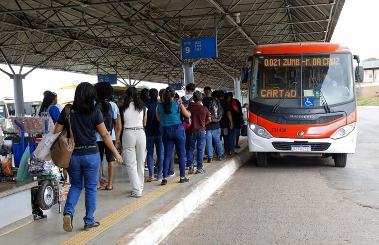 Zebrinhas, antes restritos ao Plano Piloto, agora circulam por diferentes regiões do DF