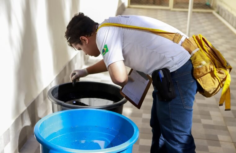 Casos de dengue caem 97% no DF em relação ao ano passado