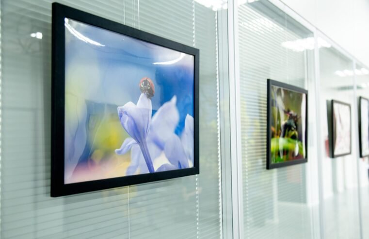 Espaço Qualidade de Vida do GDF recebe exposição ‘Insetos em Macrofotografia’