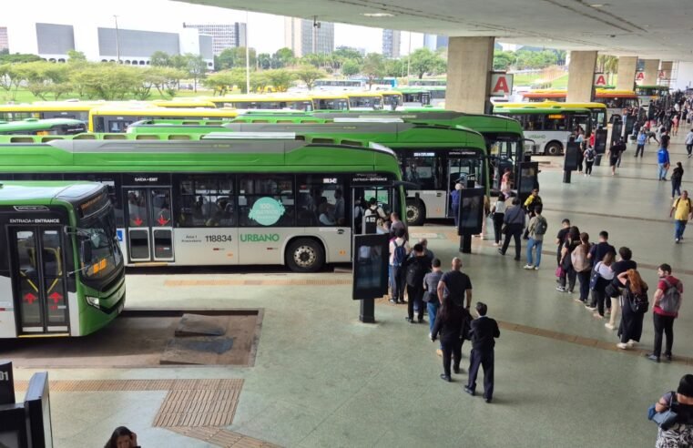 Feriado terá linhas especiais e transporte público gratuito; veja como fica