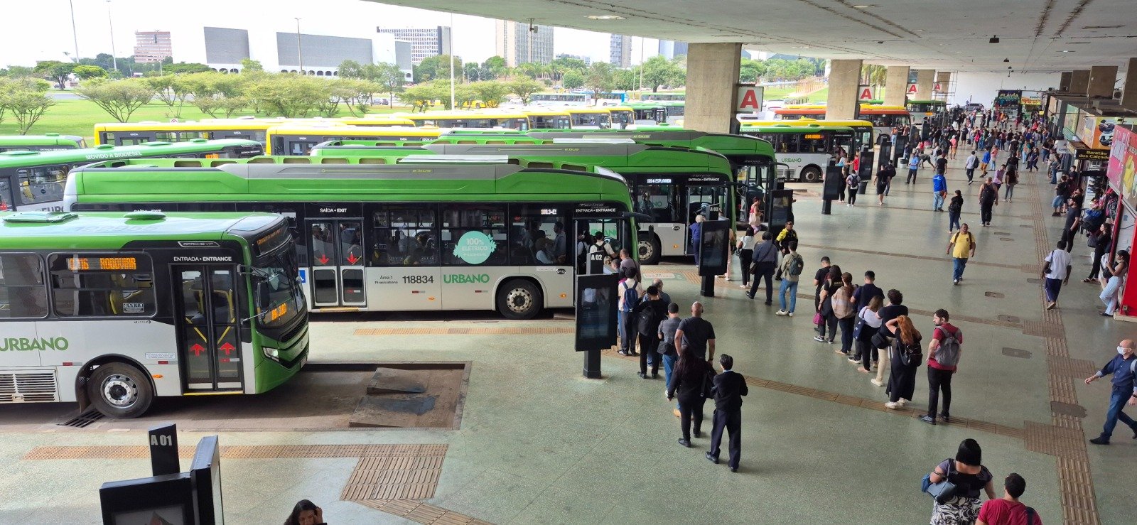 Feriado terá linhas especiais e transporte público gratuito; veja como fica Feriado terá linhas especiais e transporte público gratuito; veja como fica